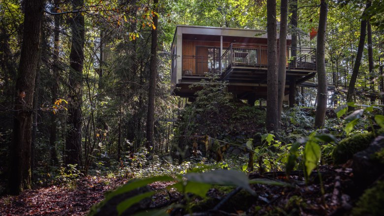 Ein modernes Baumhaus in einem dichten Wald, umgeben von hohen Bäumen und grünem Laub.